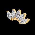24Kt Gold PVD Titanium Threadless with Prong Set Marquise CZ 5-Cluster Top