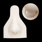 Front Facing Hinged Segment Clicker with CNC Set 1mm Ombre Fade Gem Hoop Earring / Nosering – Titanium