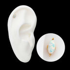 24Kt Gold PVD Titanium Threadless with 2-Prong Marquise Opal Top