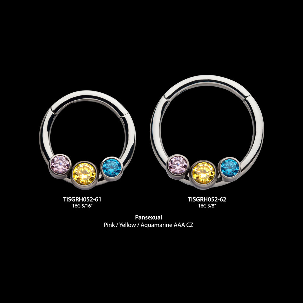 Bi-Trans-Pan Bezel Set CZ 3-Cluster Front Facing Hinged Segment Clicker Hoop Earring / Nosering – Titanium