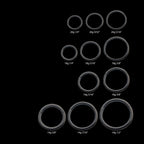 Black PVD Titanium Basic Hinged Segment Clicker Hoop Earring / Nosering