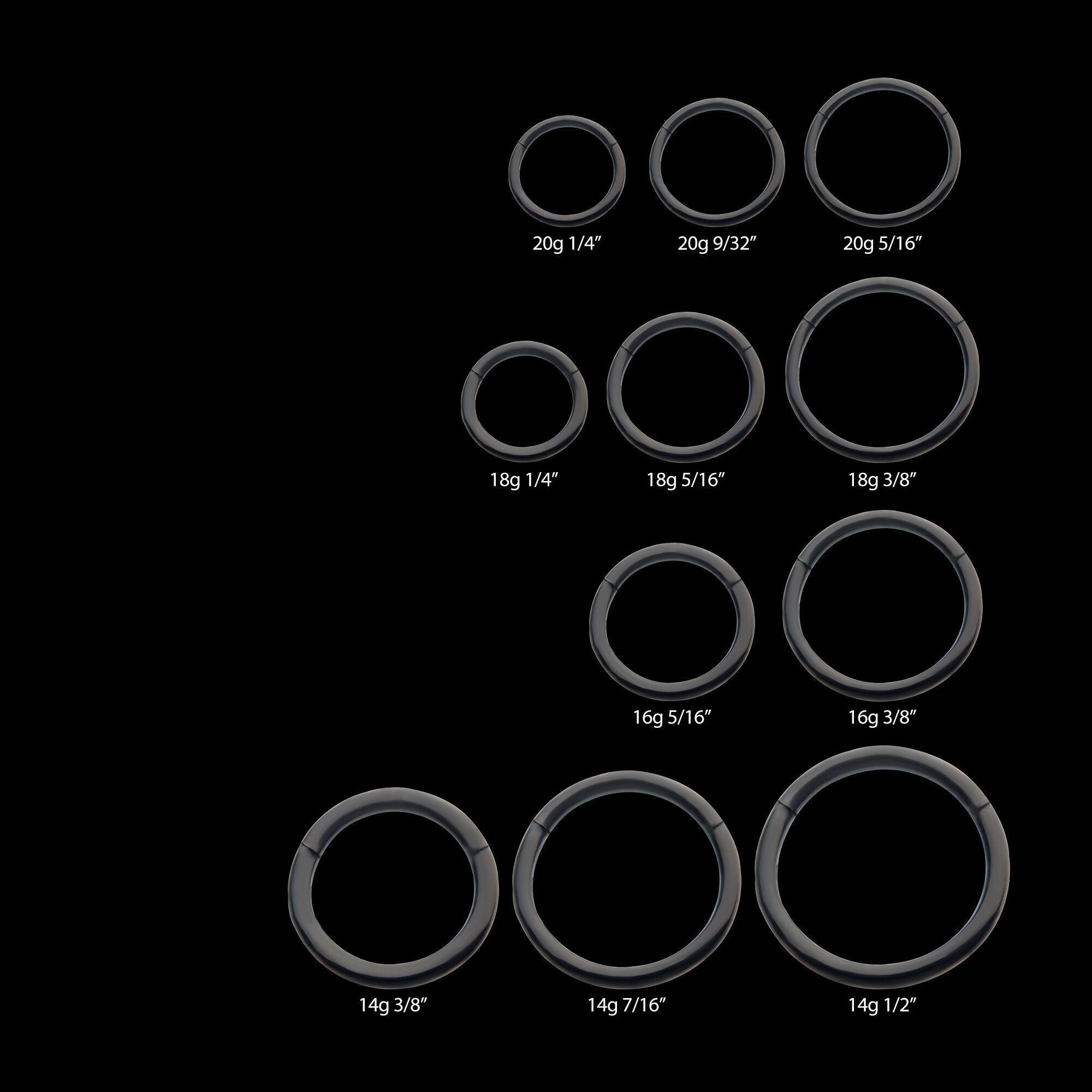 Black PVD Titanium Basic Hinged Segment Clicker Hoop Earring / Nosering