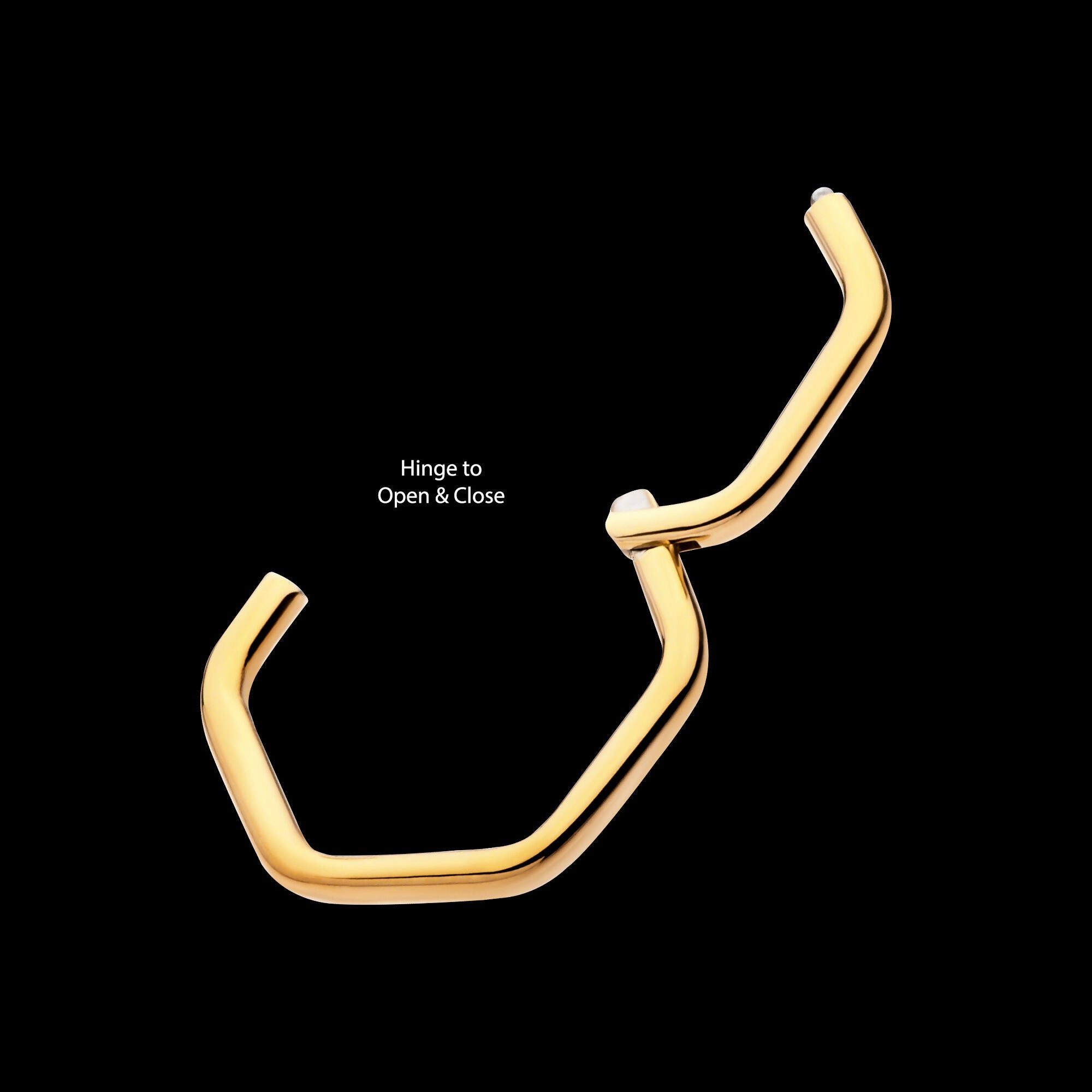 Hexagon Shape 24Kt Gold PVD Titanium Front Facing Hinged Segment Clicker Hoop Earring / Nosering