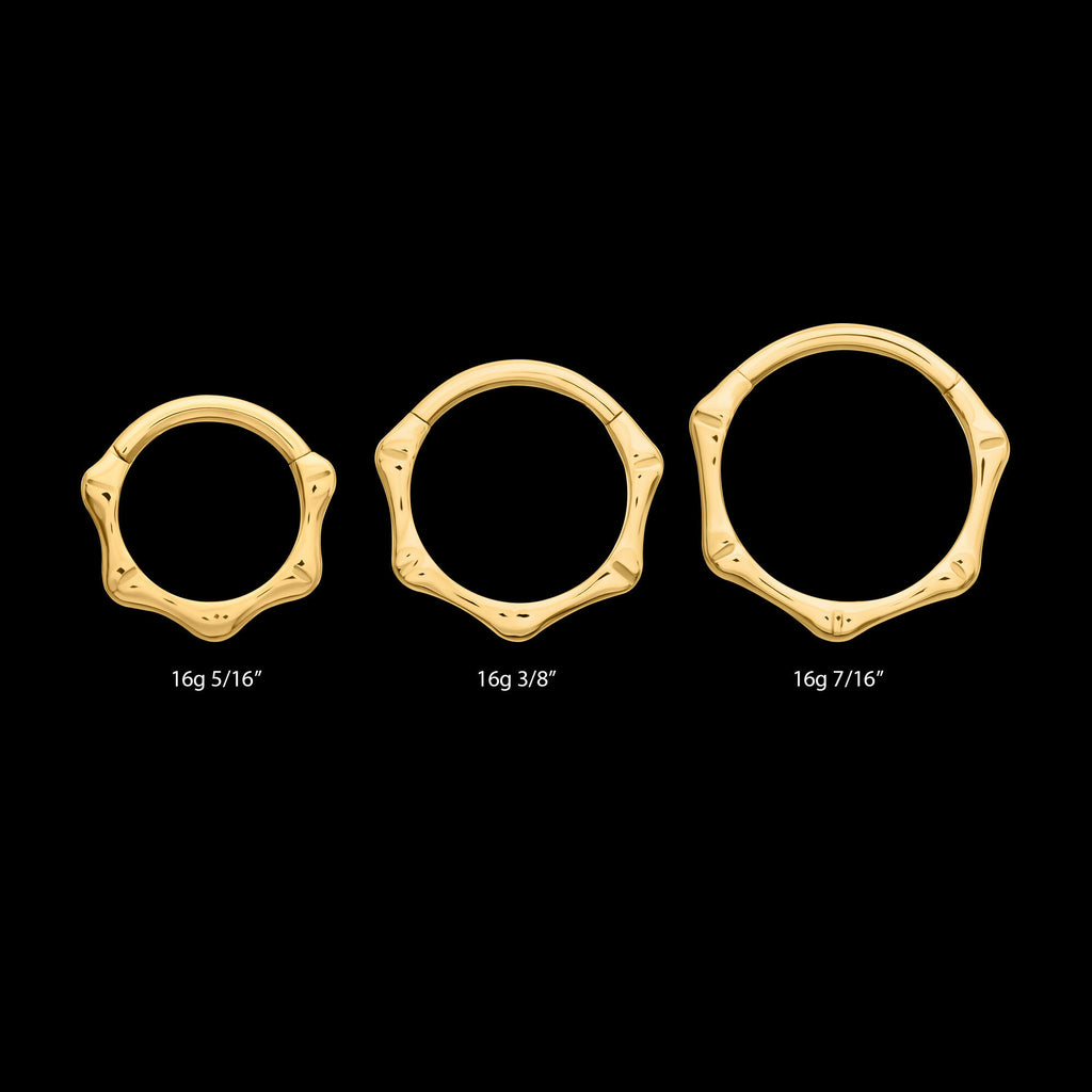 24KT Gold PVD Titanium Bone Shaped Front Facing Hinged Segment Clicker Hoop Earring / Nosering