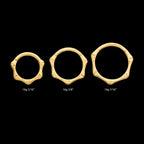 24KT Gold PVD Titanium Bone Shaped Front Facing Hinged Segment Clicker Hoop Earring / Nosering