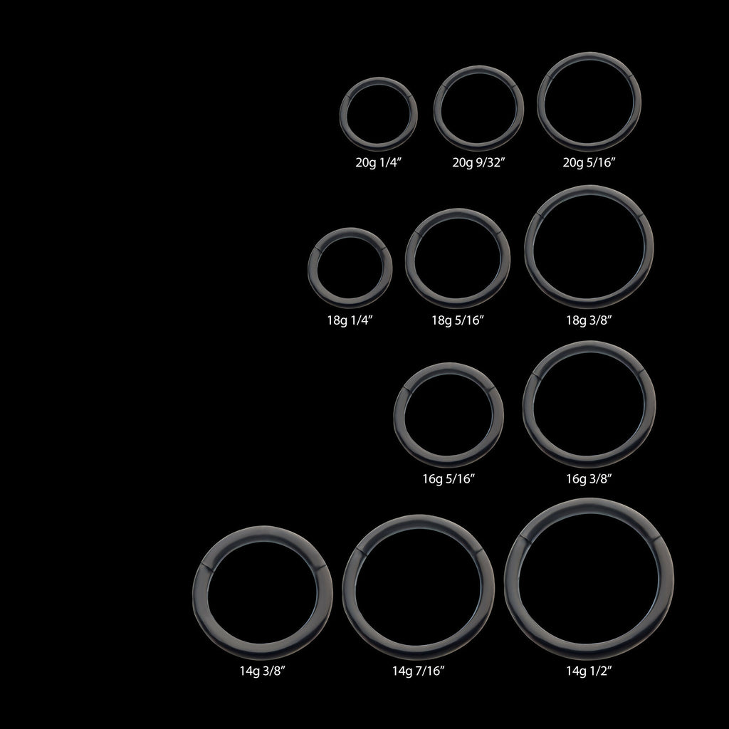 Black PVD Titanium Basic Hinged Segment Clicker Hoop Earring / Nosering