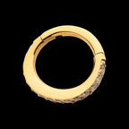 16g 24Kt Gold PVD Titanium Oval Shape with CNC Set Full Clear CZ Hinged Segment Clicker (for Rook Piercing) Hoop Earring / Nosering
