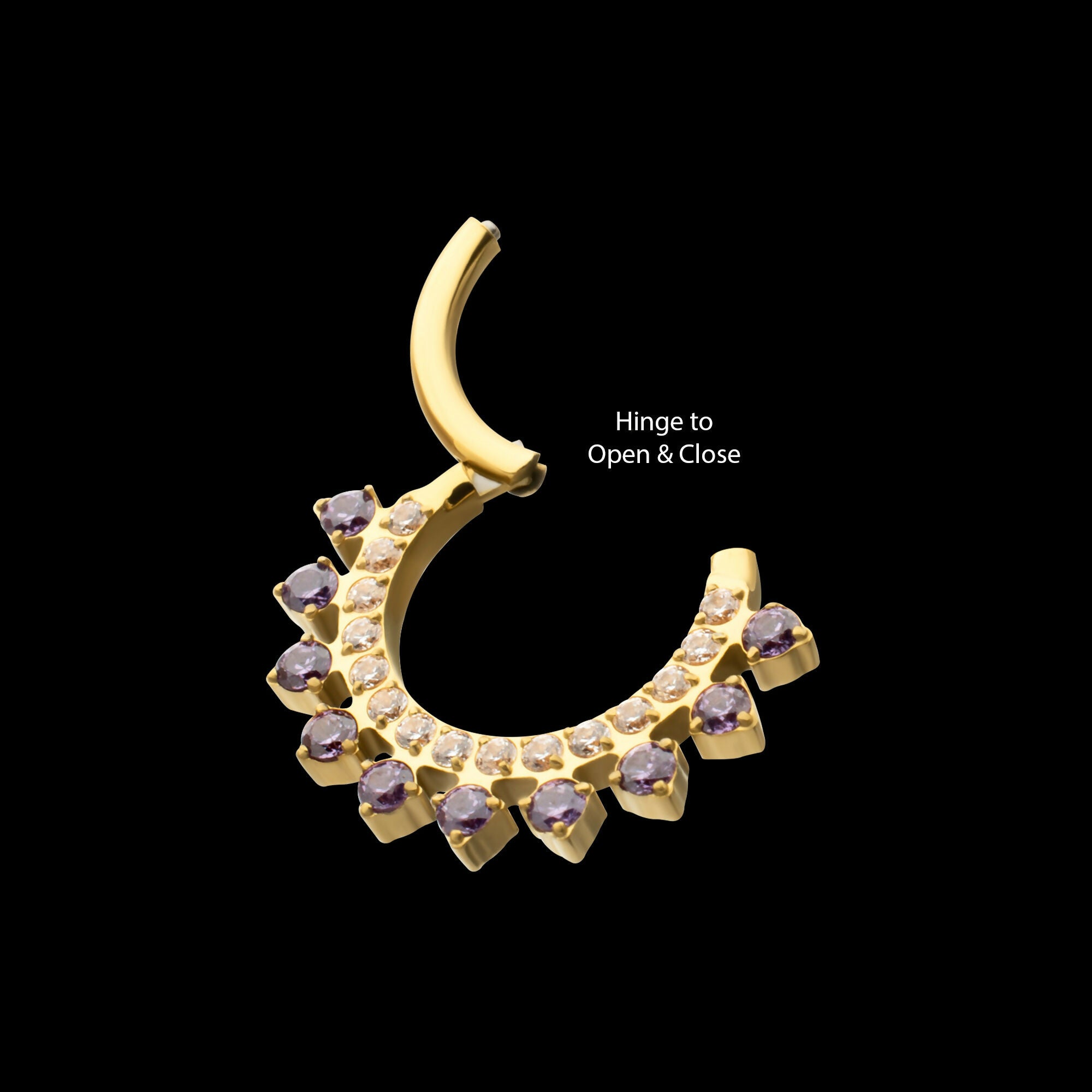 24Kt Gold PVD Titanium Double Row CZ Multi-Gem with Clear CNC Set Inner Gem Front Facing Hinged Segment Clicker Hoop Earring / Nosering