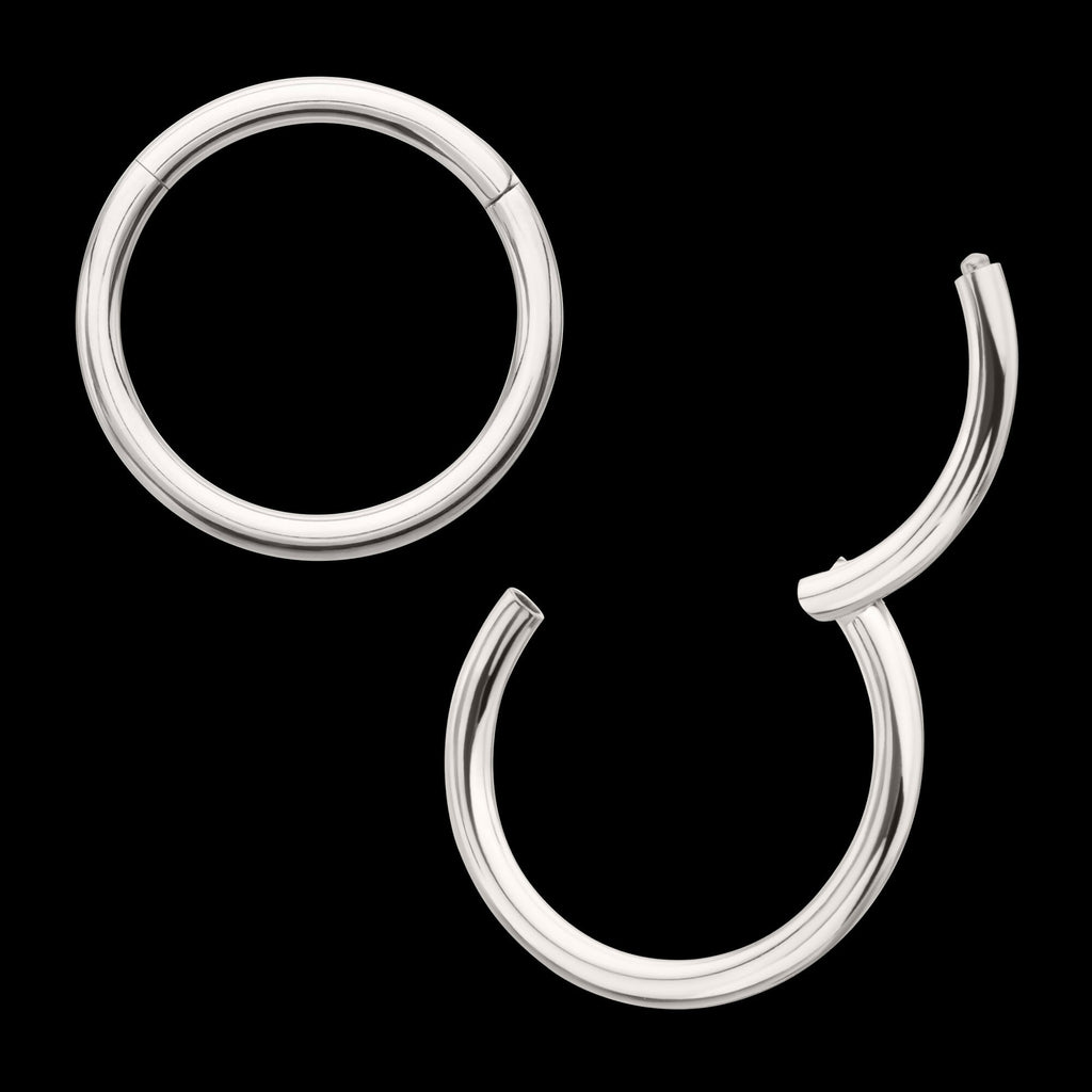 Platinum PVD Titanium Basic Hinged Segment Clicker Hoop Earring / Nosering