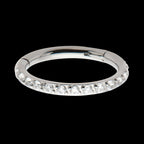 Titanium with 1mm CNC Set Clear CZ Eternity Gem Side Facing Hinged Segment Clicker