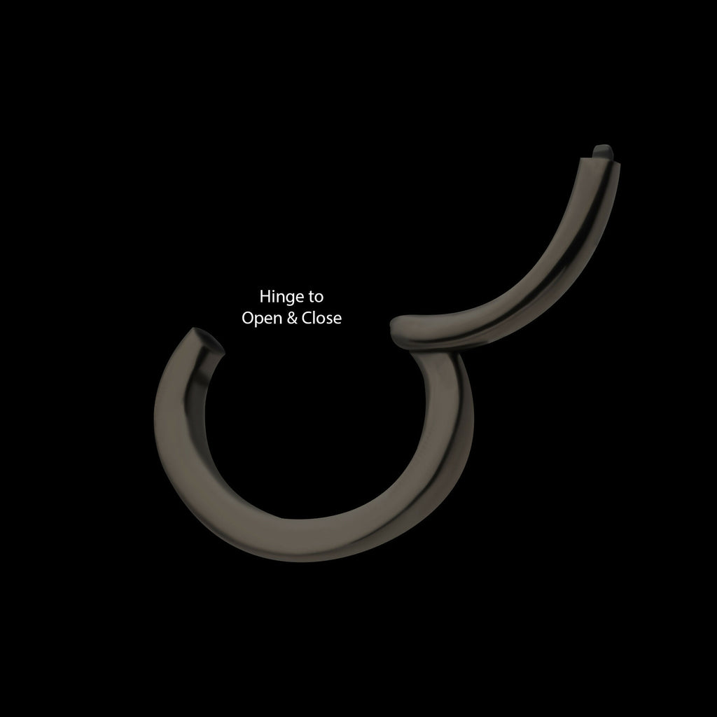 Black PVD Titanium Oval Shape Hinged Segment Clicker Hoop Earring / Nosering