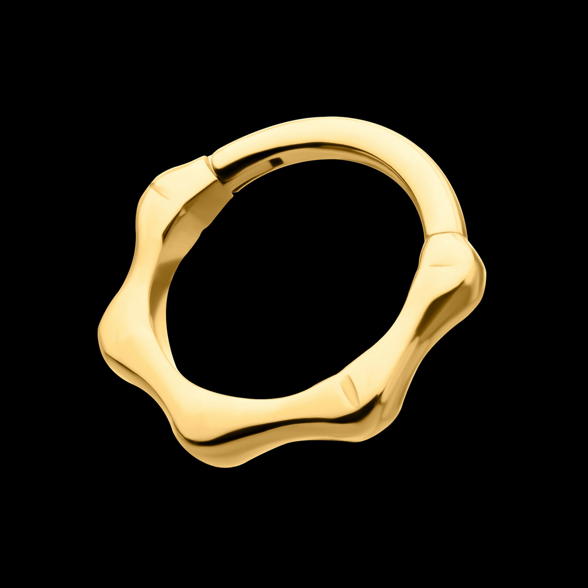 24KT Gold PVD Titanium Bone Shaped Front Facing Hinged Segment Clicker Hoop Earring / Nosering