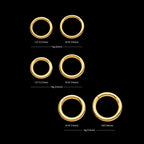 24KT Gold PVD Titanium Hinged Segment Clicker (12g to 8g) Hoop Earring / Nosering