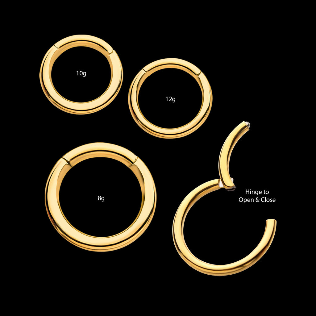 24KT Gold PVD Titanium Hinged Segment Clicker (12g to 8g) Hoop Earring / Nosering