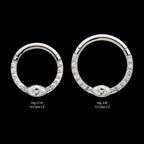 Eye CZ Front Facing Hinged Segment Clicker with CNC Set Round CZ Hoop Earring / Nosering – Titanium