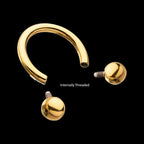 24KT Gold PVD Titanium Internally Threaded Circular Barbell Earring / Nosering