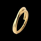 24Kt Gold PVD Titanium Double Hoop Side Facing Hinged Segment Clicker Earring / Nosering