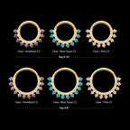 24Kt Gold PVD Titanium Double Row CZ Multi-Gem with Clear CNC Set Inner Gem Front Facing Hinged Segment Clicker Hoop Earring / Nosering