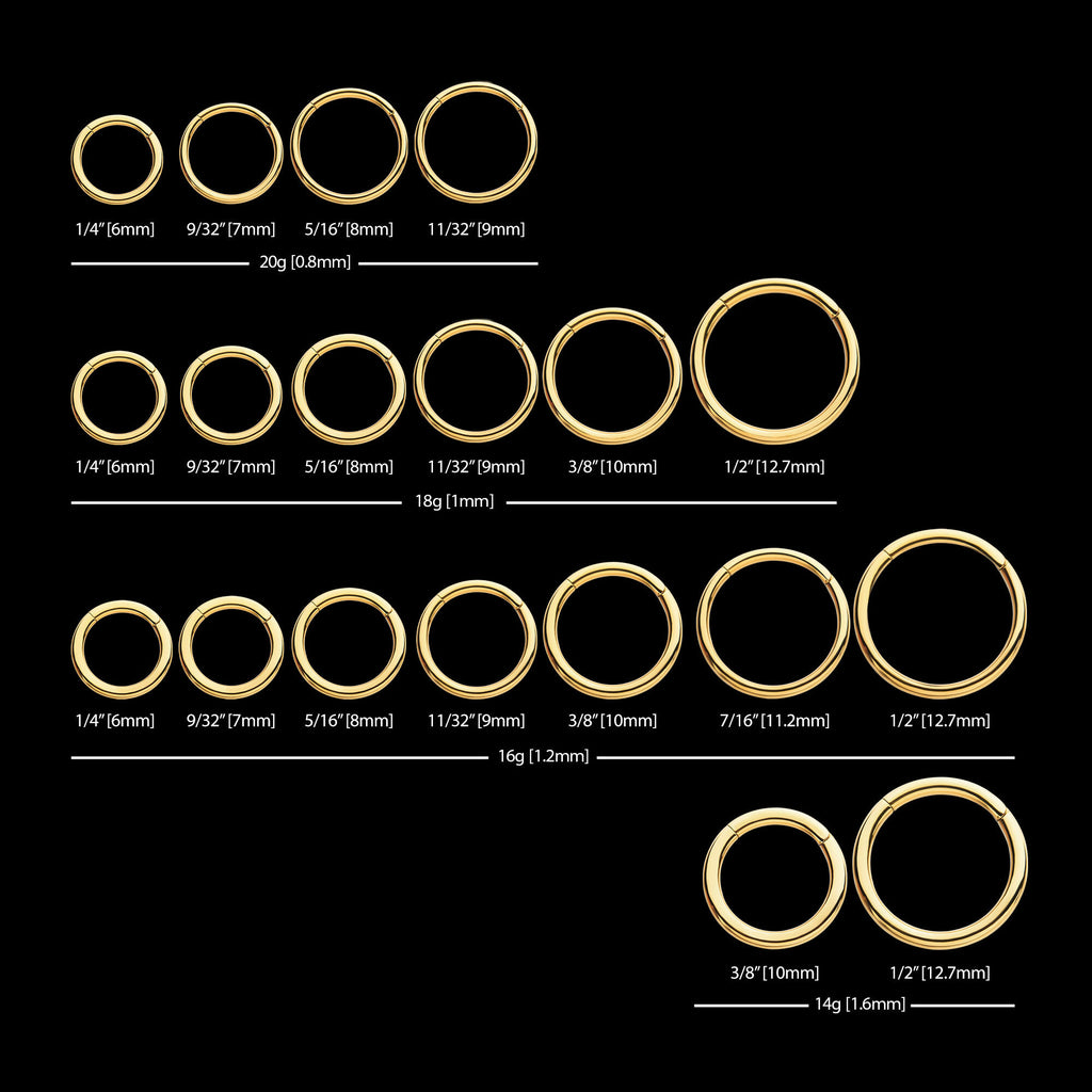 24KT Gold PVD Titanium Hinged Segment Clicker (20g to 14g)