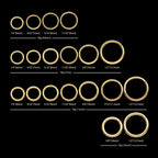 24KT Gold PVD Titanium Hinged Segment Clicker (20g to 14g)