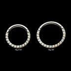 Front Full Clear Eternity Gem Hinged Segment Clicker Hoop Earring / Nosering – Titanium