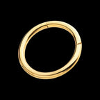 24KT Gold PVD Titanium Hinged Segment Clicker (12g to 8g) Hoop Earring / Nosering