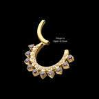 24Kt Gold PVD Titanium Double Row CZ Multi-Gem with Clear CNC Set Inner Gem Front Facing Hinged Segment Clicker Hoop Earring / Nosering