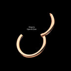 Basic Hinged Segment Clicker Hoop Earring / Nosering – 14Kt Rose Gold