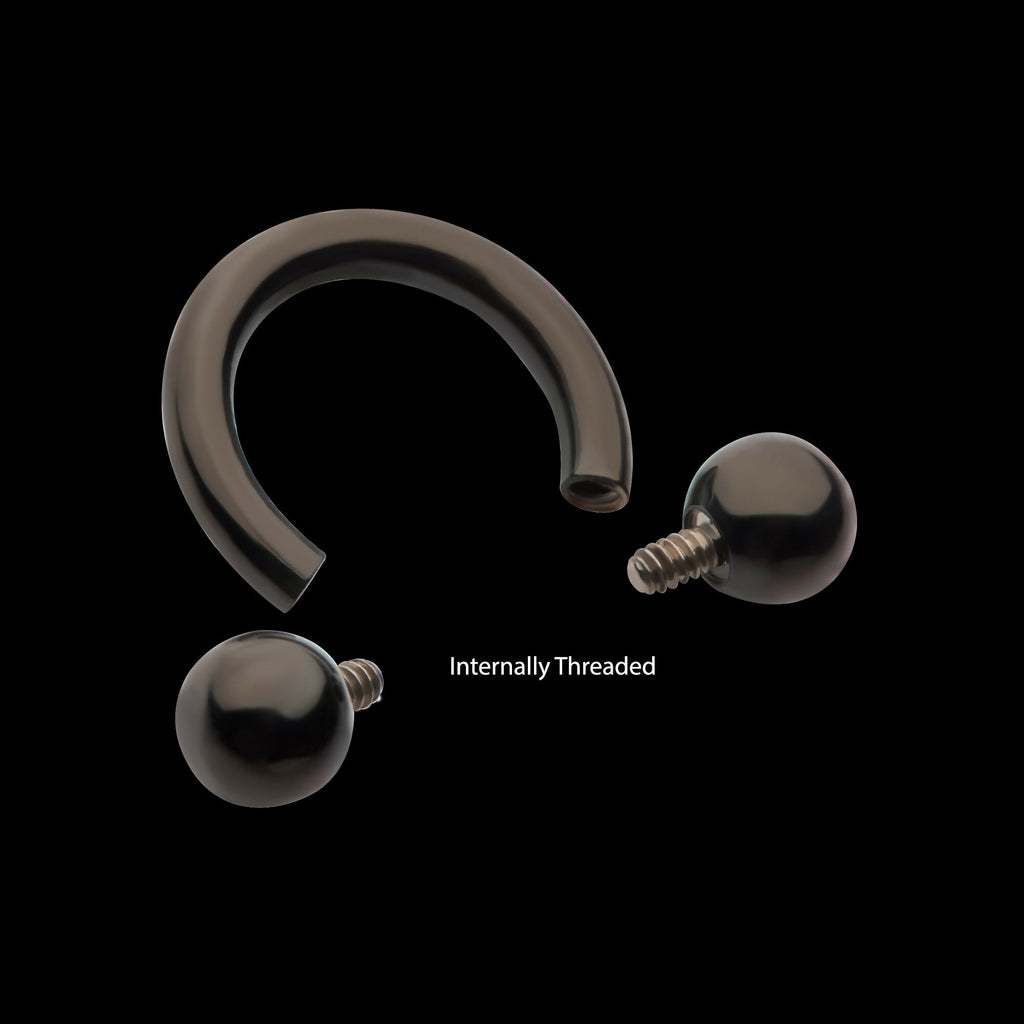Black PVD Titanium Internally Threaded Circular Barbells Earring / Nosering