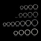 Hinged Segment Clicker (20g to 14g) Hoop Earring / Nosering – Titanium