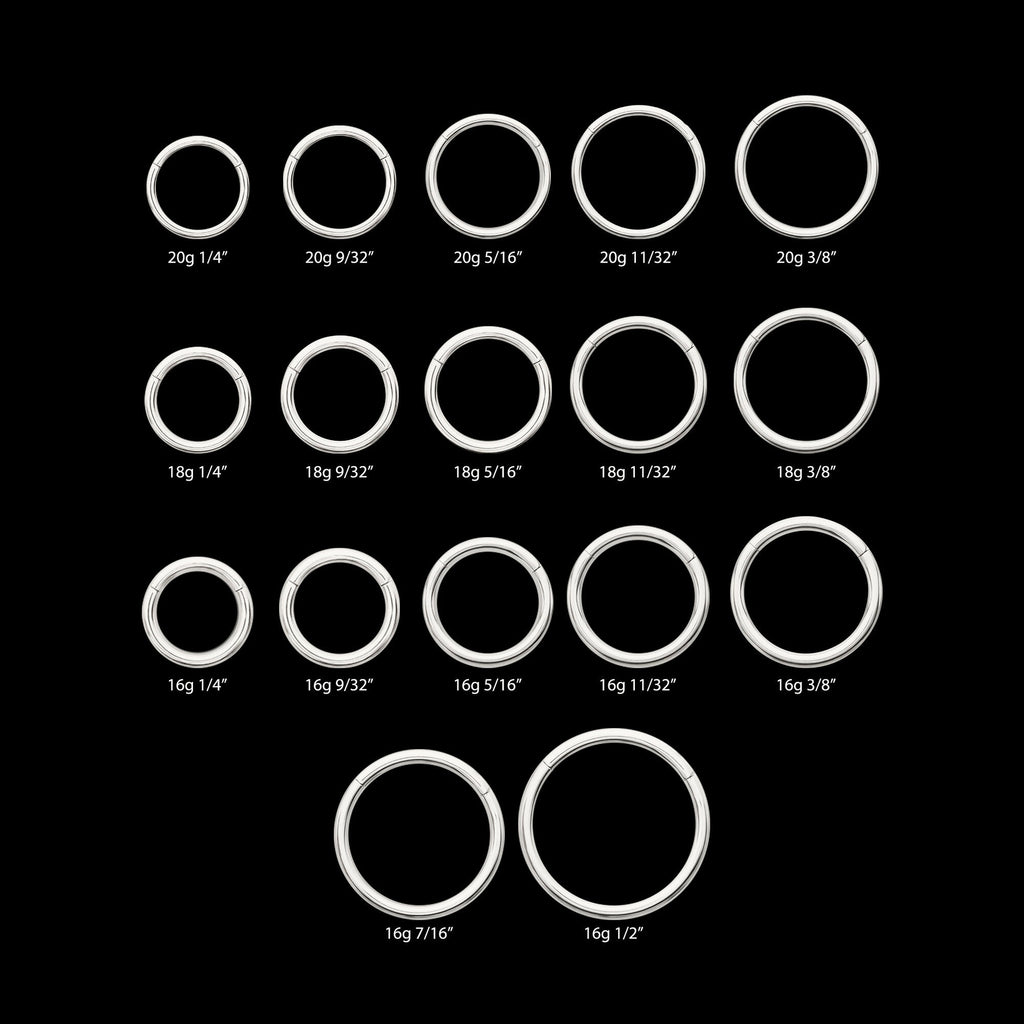 Platinum PVD Titanium Basic Hinged Segment Clicker Hoop Earring / Nosering