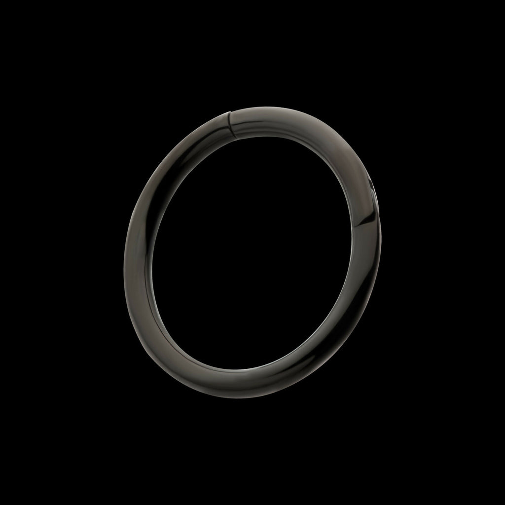 Black PVD Titanium Basic Hinged Segment Clicker Hoop Earring / Nosering