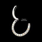 Front Facing Hinged Segment Clicker with CNC Set 1mm Ombre Fade Gem Hoop Earring / Nosering – Titanium