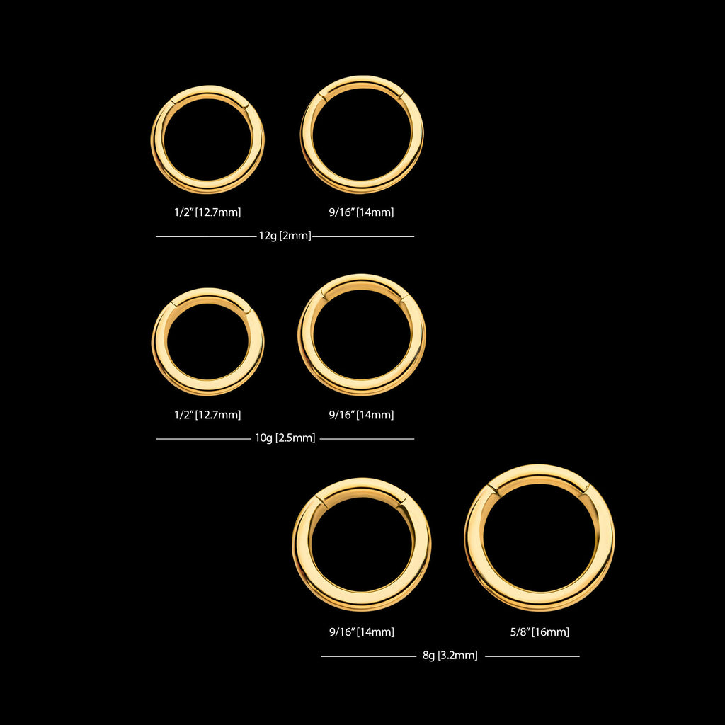 24KT Gold PVD Titanium Hinged Segment Clicker (12g to 8g) Hoop Earring / Nosering