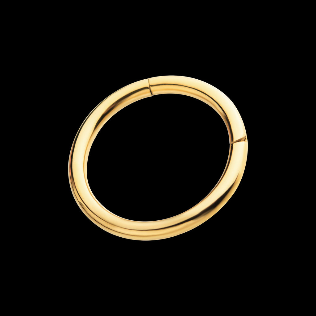 24KT Gold PVD Titanium Hinged Segment Clicker (20g to 14g)