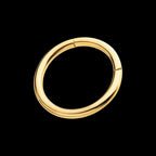 24KT Gold PVD Titanium Hinged Segment Clicker (20g to 14g)