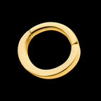 16g 24Kt Gold PVD Titanium Oval Shape Hinged Segment Clicker (for Rook Piercing) Hoop Earring / Nosering
