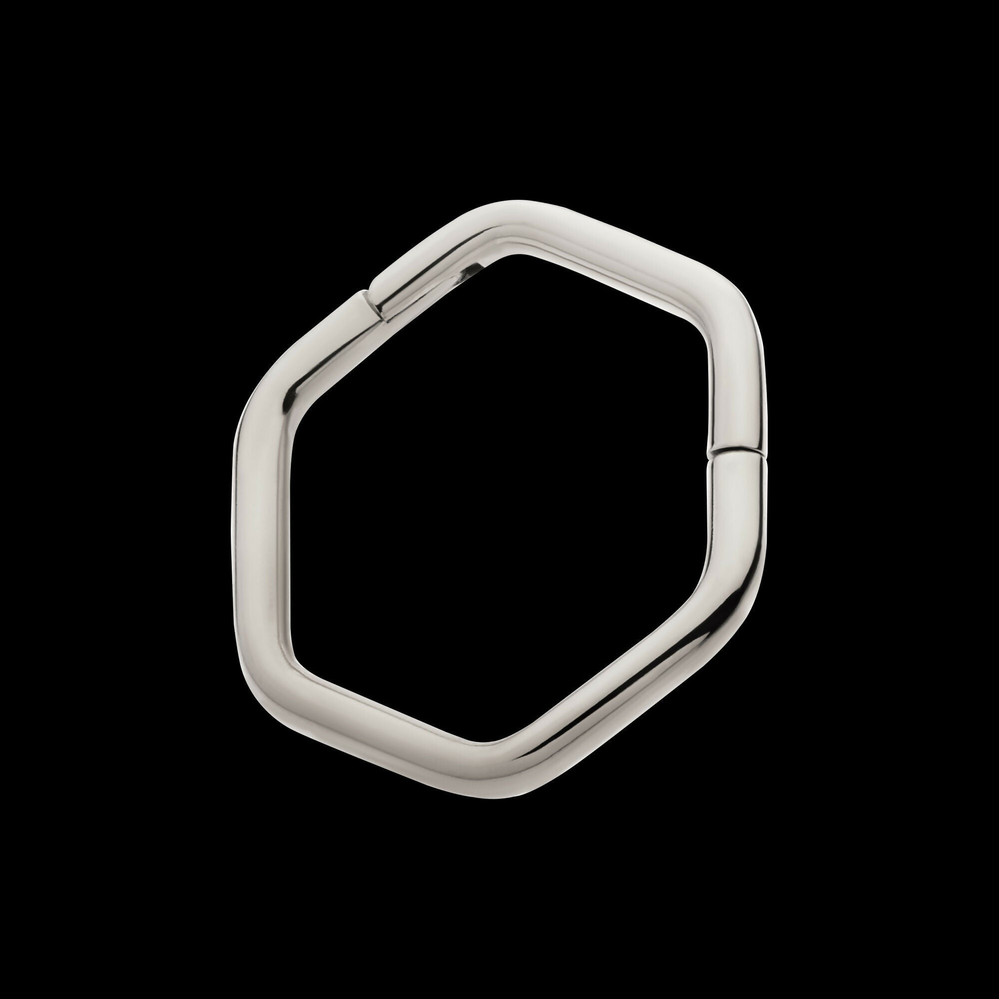 Hexagon Shape Titanium Front Facing Hinged Segment Clicker Hoop Earring / Nosering