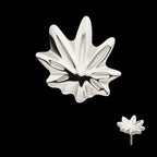 Titanium Threadless Pot Leaf Top