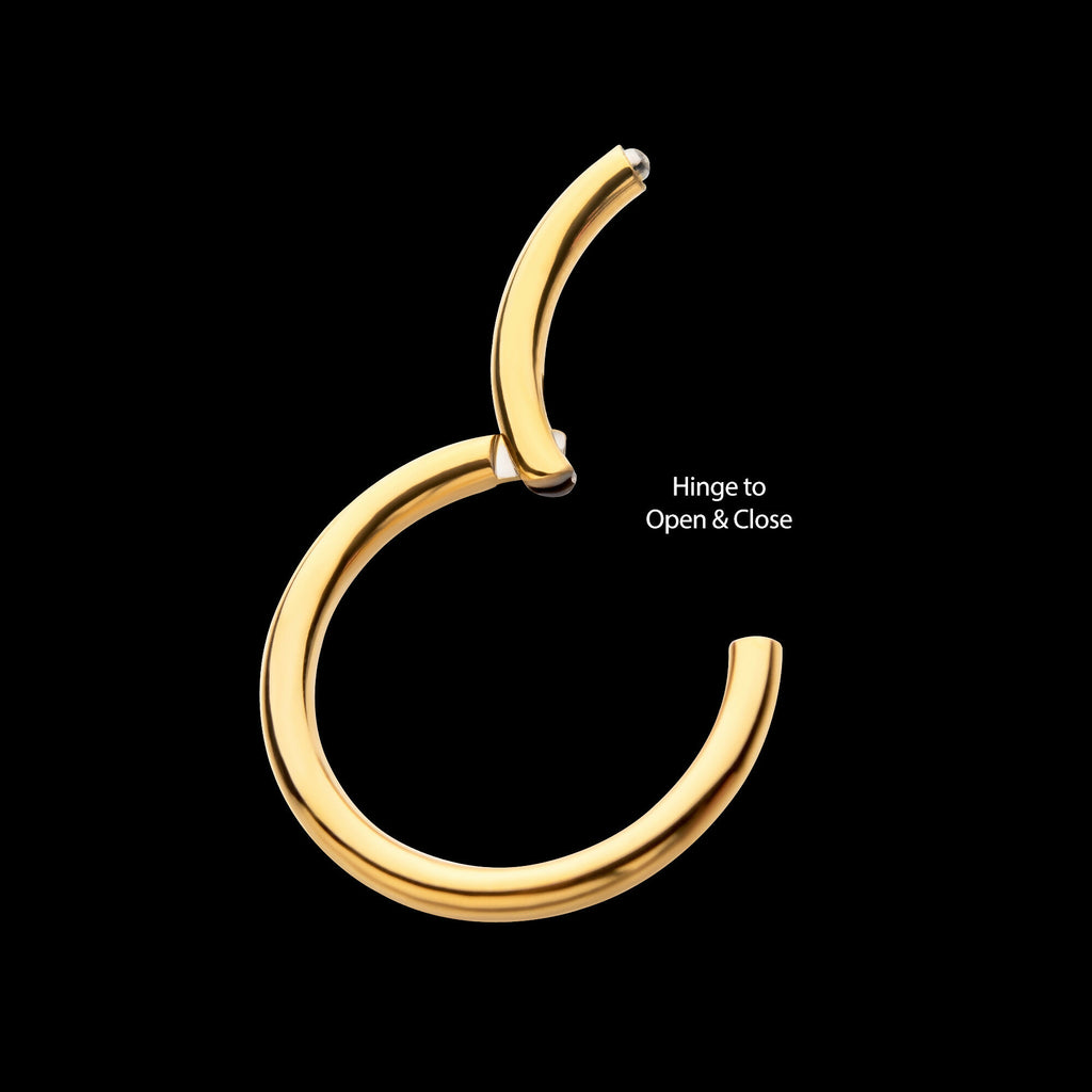 24KT Gold PVD Titanium Hinged Segment Clicker (20g to 14g) Hoop Earring / Nosering