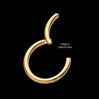 24KT Gold PVD Titanium Hinged Segment Clicker (20g to 14g) Hoop Earring / Nosering