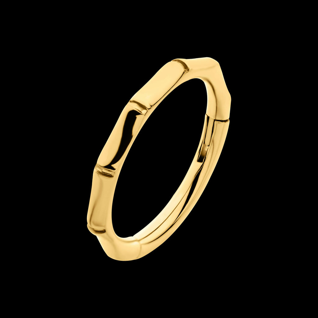 24Kt Gold PVD Titanium Bamboo Design Side Facing Hinged Segment Clicker Hoop Earring / Nosering