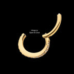 16g 24Kt Gold PVD Titanium Oval Shape with CNC Set Full Clear CZ Hinged Segment Clicker (for Rook Piercing) Hoop Earring / Nosering