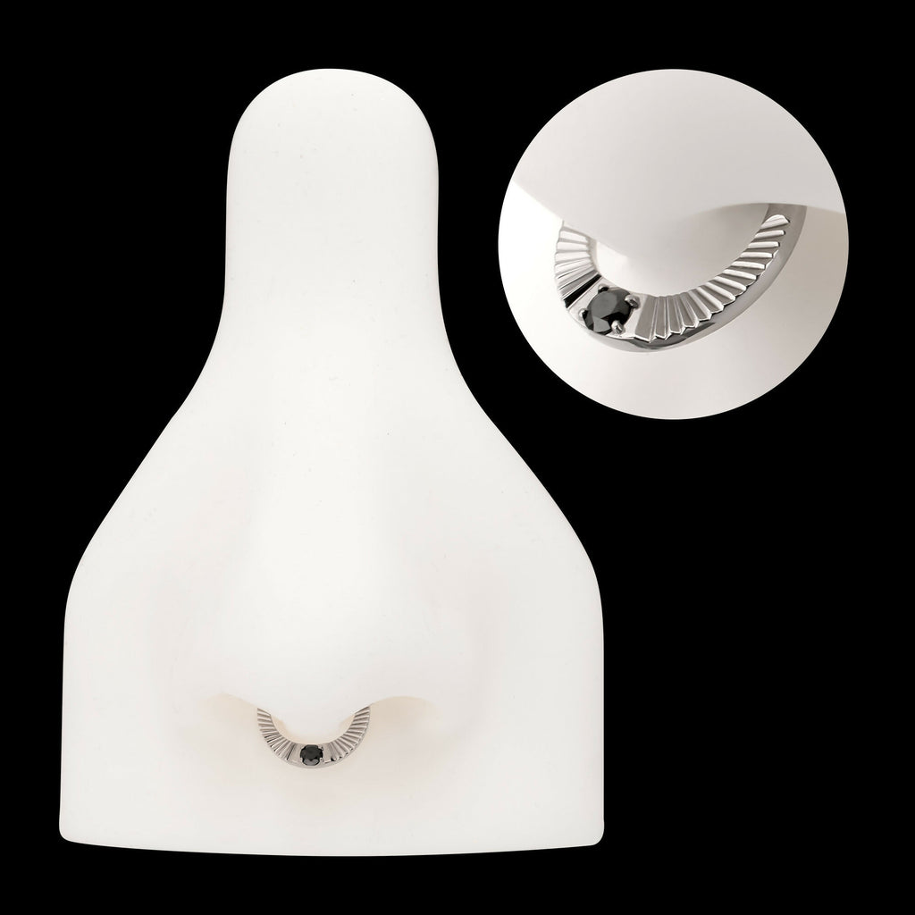 Radiant Hoop with Black Prong Set Gem Front Facing Hinged Segment Clicker Earring / Nosering – Titanium