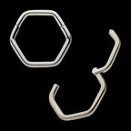 Hexagon Shape Titanium Front Facing Hinged Segment Clicker Hoop Earring / Nosering