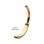 Triple Row Pave Gem Navel Jewelry / Belly Button Ring Clicker – 24Kt Gold PVD Titanium
