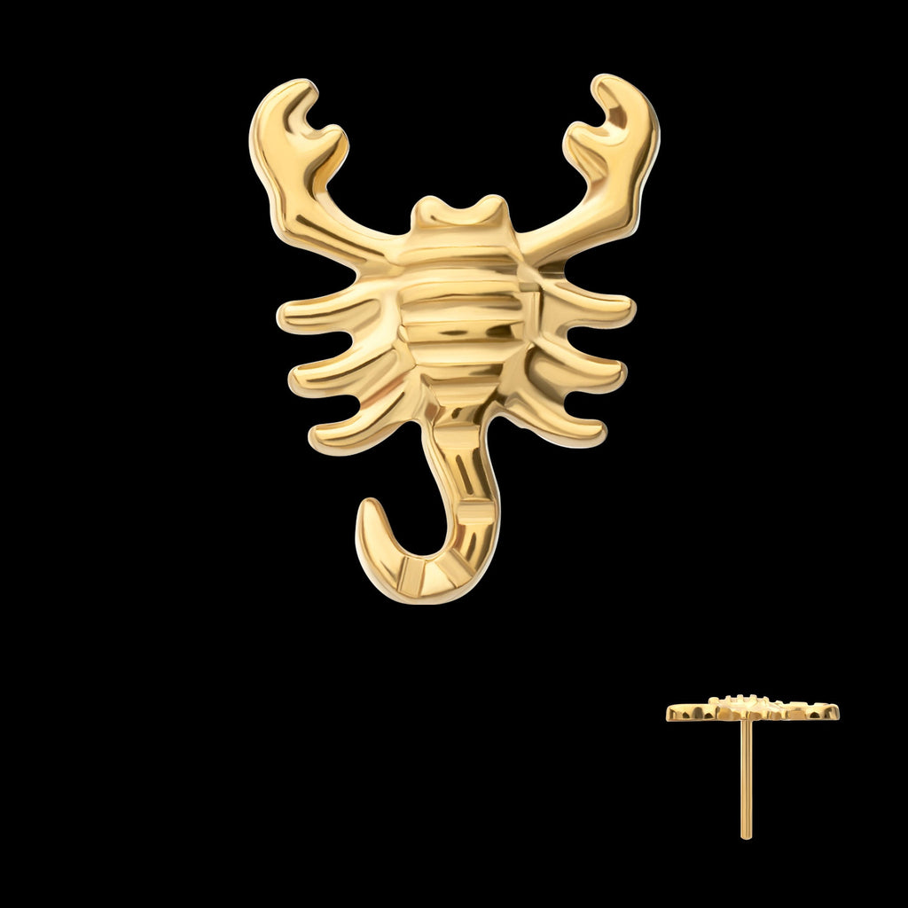 Low-Profile 3D Scorpion Threadless Earring / Nosering – 24Kt Gold PVD Titanium