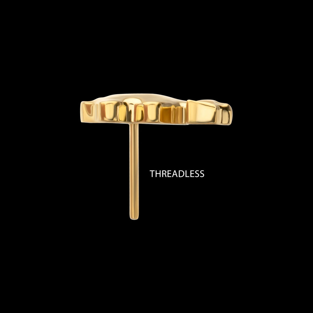 Low-Profile 3D Camel Threadless Earring / Nosering – 24Kt Gold PVD Titanium