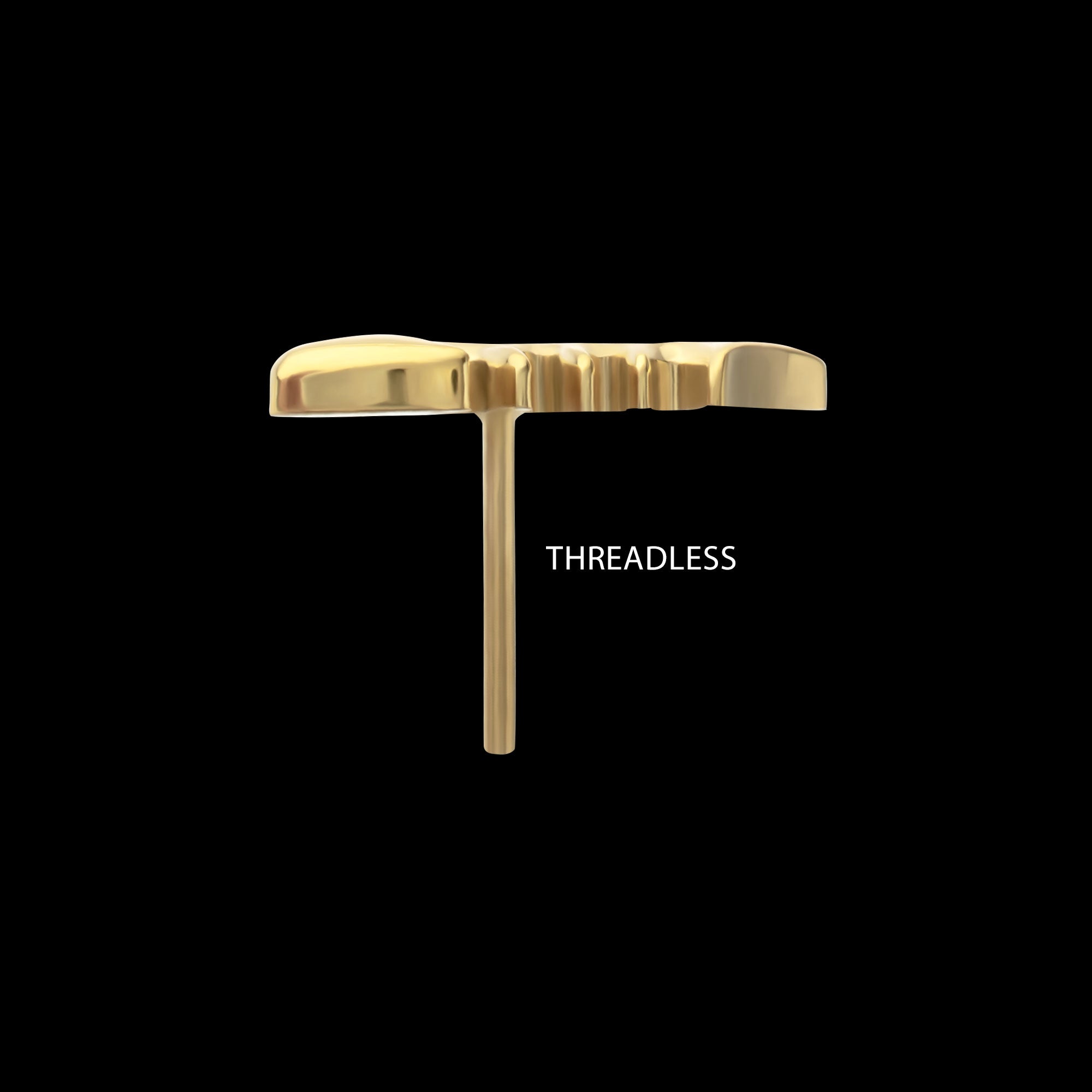 Low-Profile 3D Fishbone Threadless Earring / Nosering – 24Kt Gold PVD Titanium