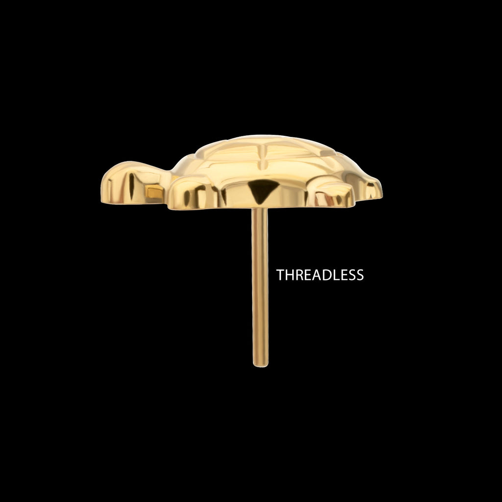 Low-Profile 3D Corrugated Land Turtle Threadless Earring / Nosering – 24Kt Gold PVD Titanium